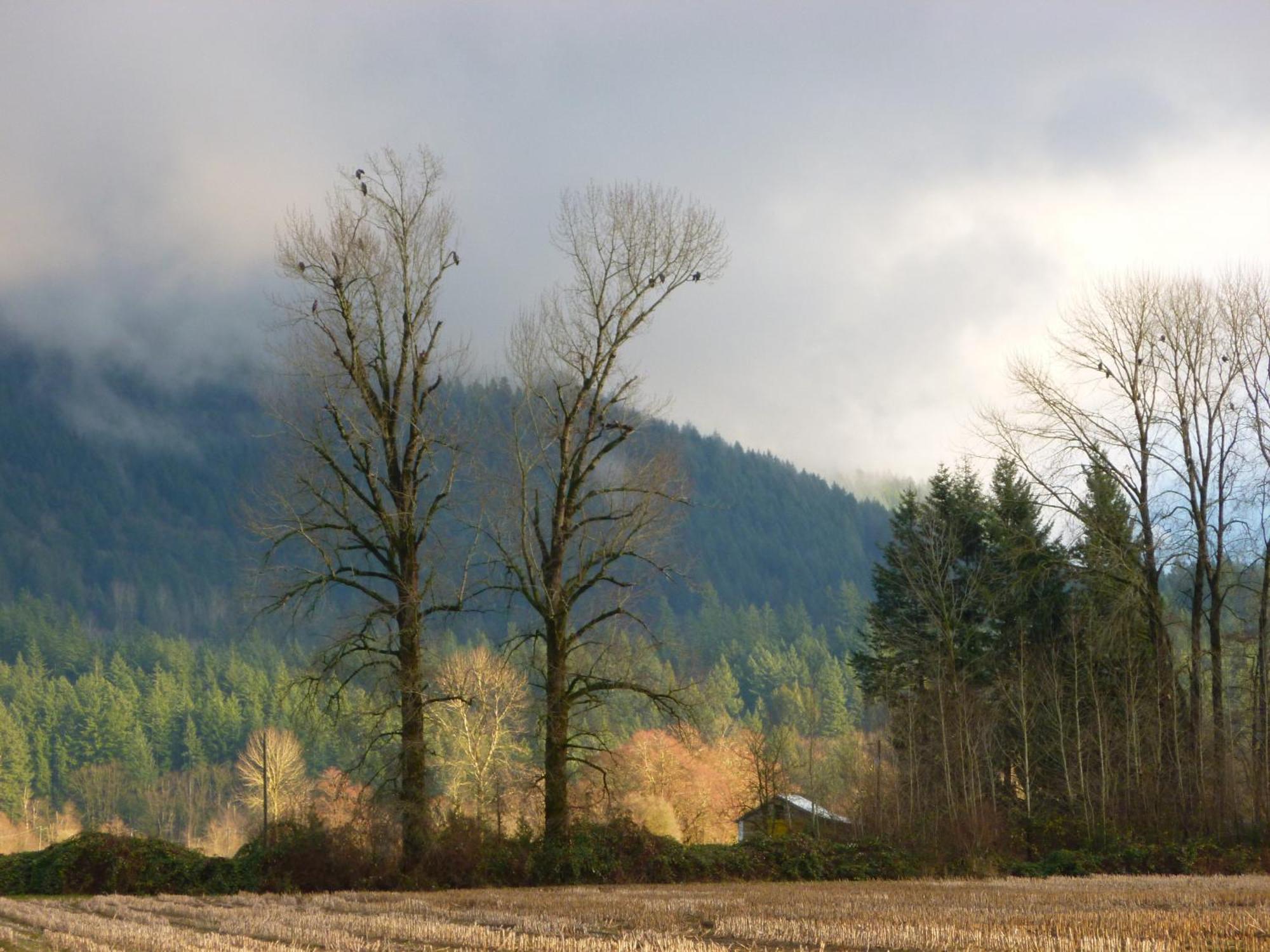 Harrison Hammond House Farmstay Harrison Mills Luaran gambar