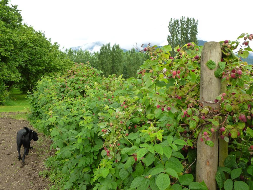 Harrison Hammond House Farmstay Harrison Mills Luaran gambar