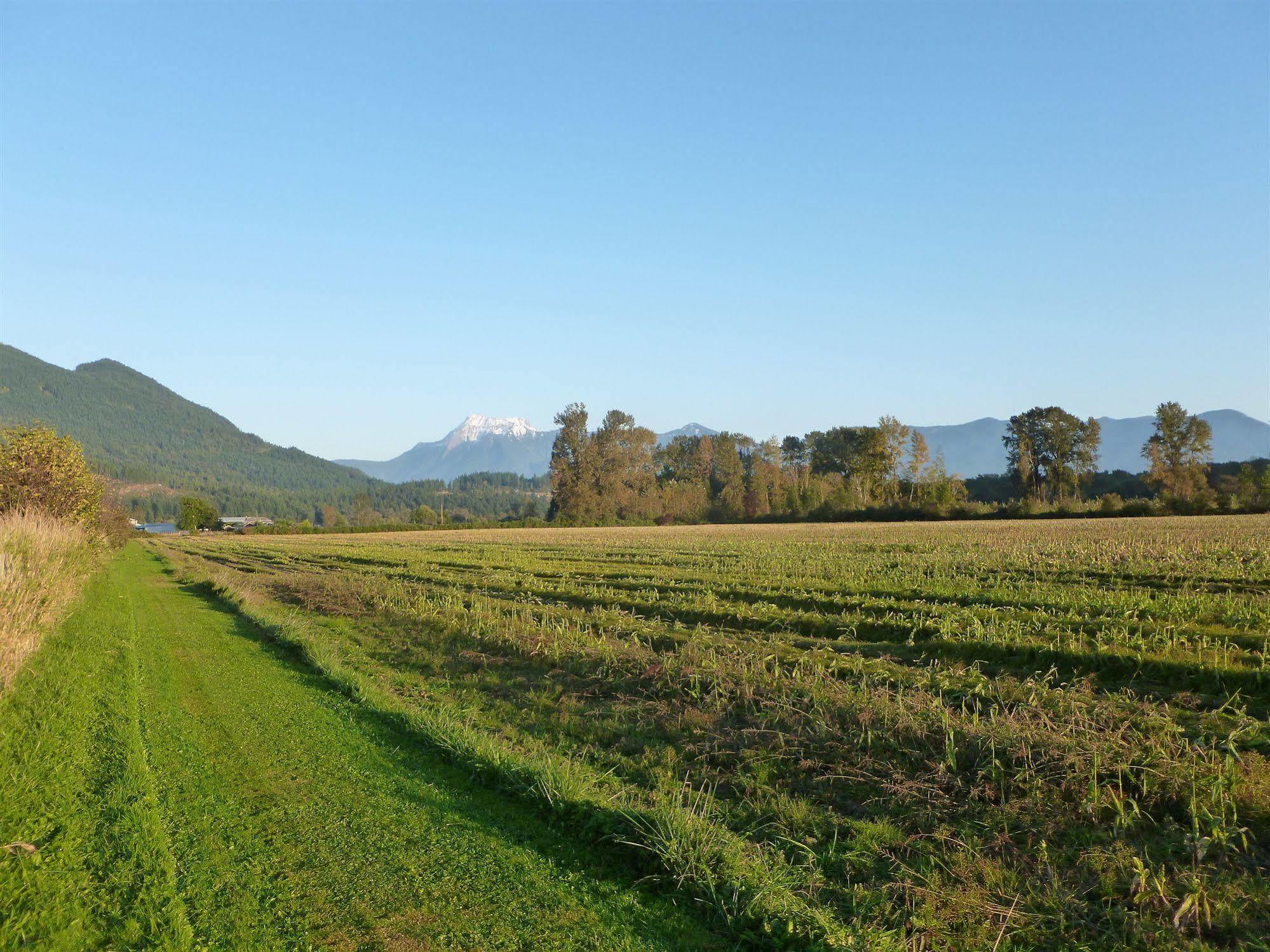 Harrison Hammond House Farmstay Harrison Mills Luaran gambar